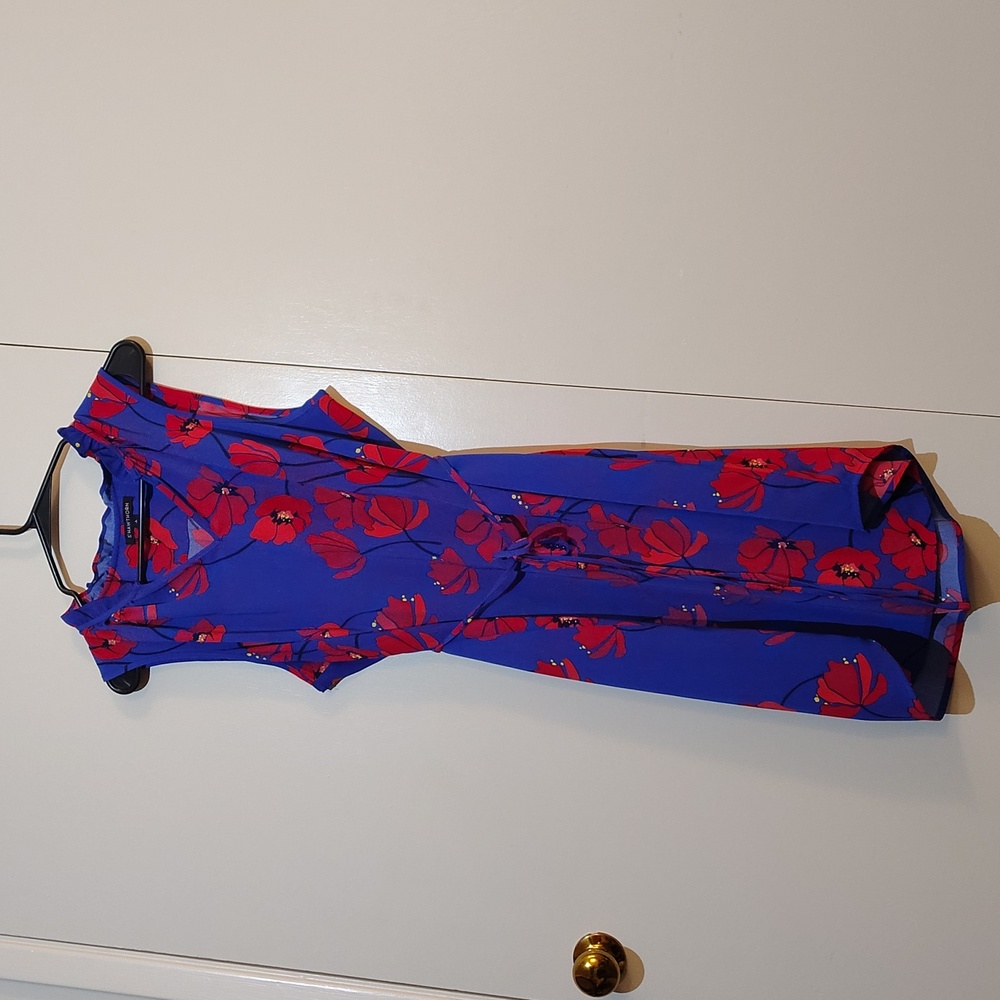 41 Hawthorn High Low Dress in Blue and Red Floral